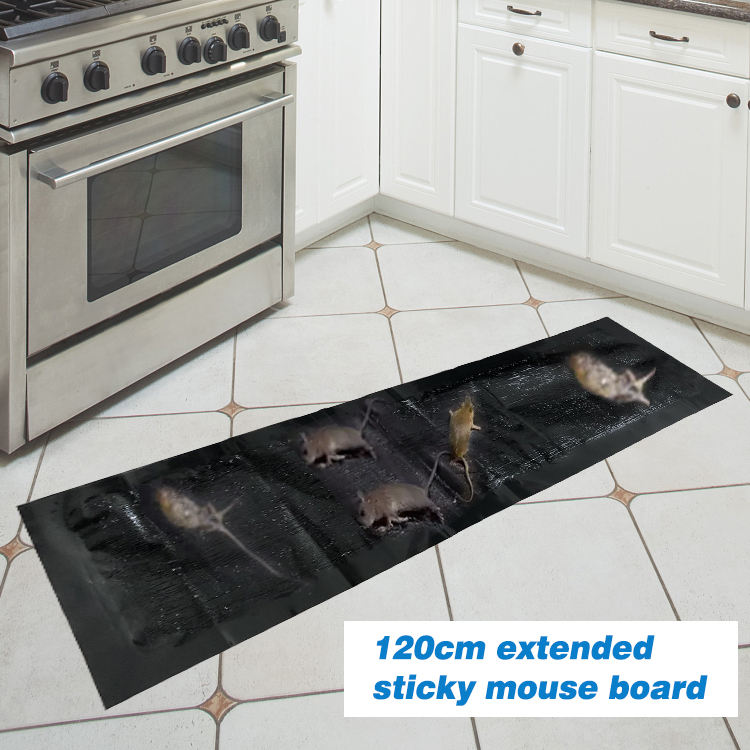 Ultra Sticky Mouse Trap Glue Pad