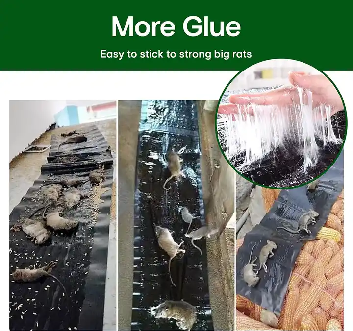 Ultra Sticky Mouse Trap Glue Pad