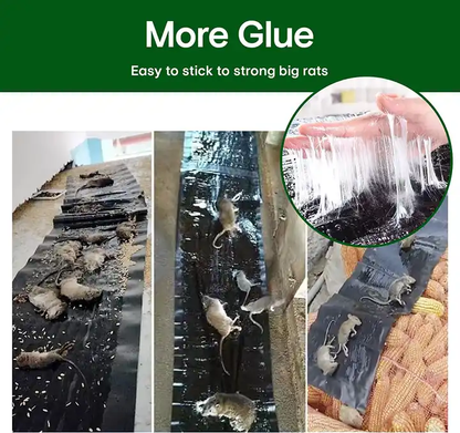 Ultra Sticky Mouse Trap Glue Pad
